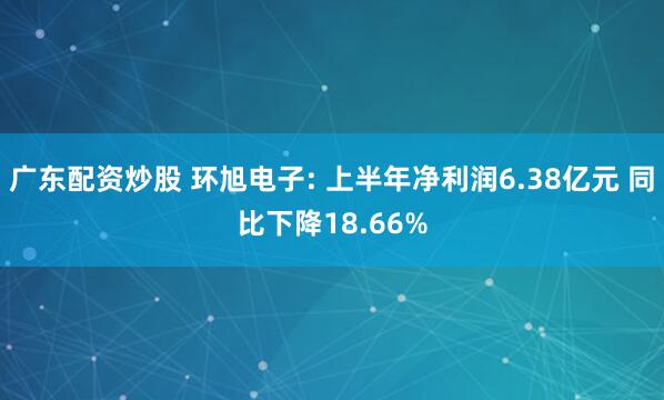 广东配资炒股 环旭电子: 上半年净利润6.38亿元 同比下降18.66%
