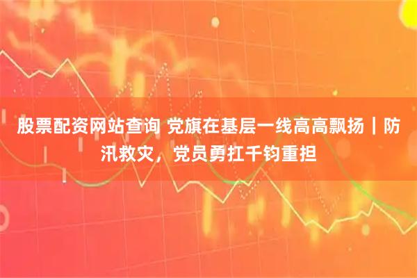 股票配资网站查询 党旗在基层一线高高飘扬｜防汛救灾，党员勇扛千钧重担