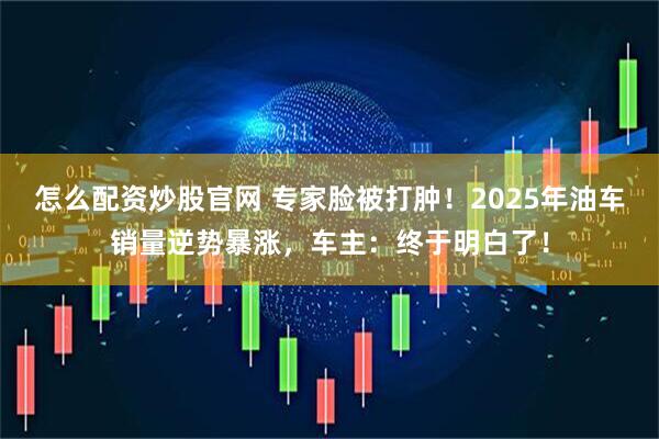 怎么配资炒股官网 专家脸被打肿！2025年油车销量逆势暴涨，车主：终于明白了！